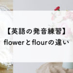flowerとflourの発音の違い。実は「フラワー」じゃない【英語の発音練習Lv.10】